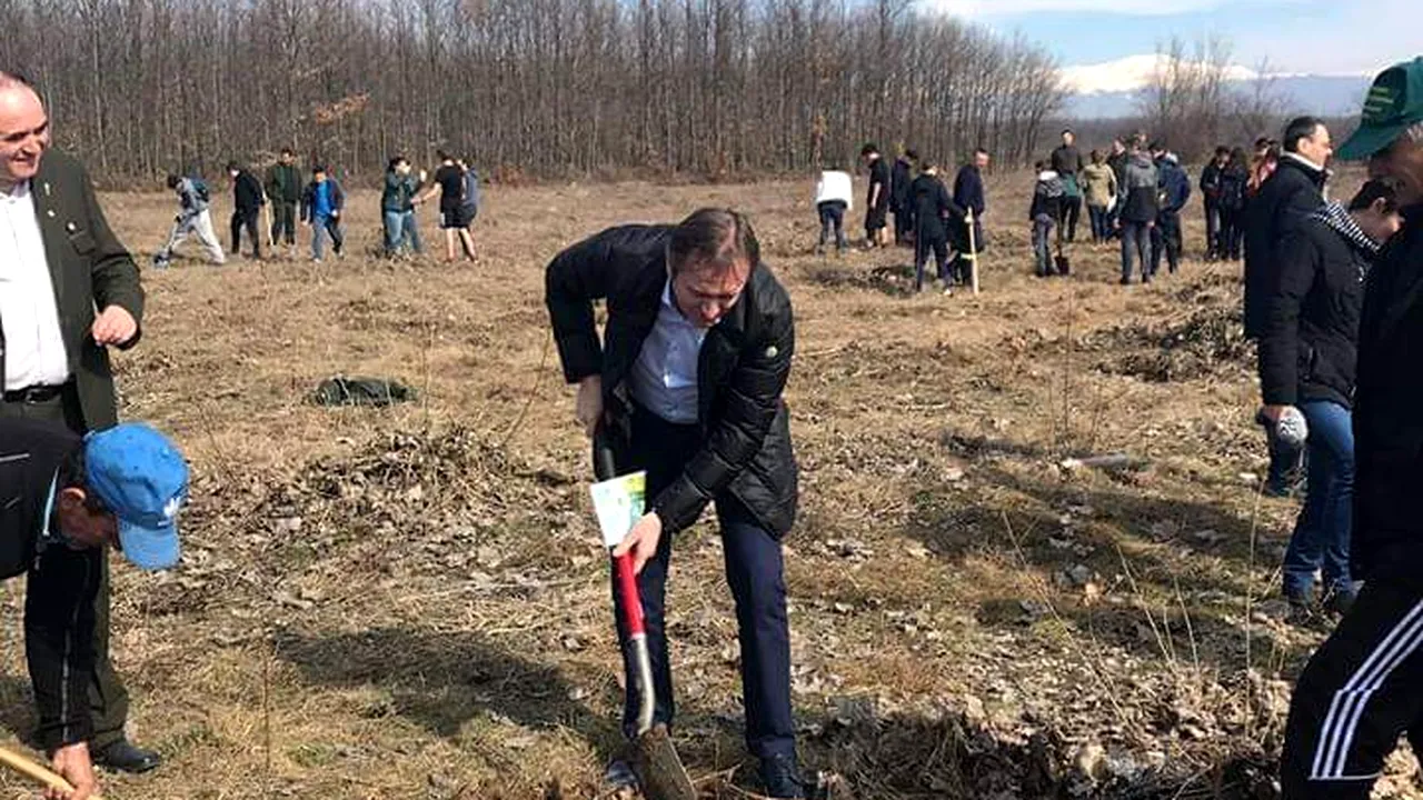 Alt protest de 15 minute, lansat în Gorj: Fiecare om să planteze un pom 
