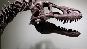 Creier de dinozaur digital reconstruit digital. Concluziile cercetătorilor