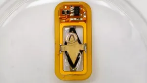 Diabetul, pe cale să fie învins. Aparatul care produce insulina in organism, fără a fi nevoie de baterii