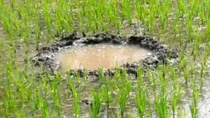 Un bărbat a murit, iar trei au fost răniţi, după ce au fost loviţi de un meteorit, în India. FOTO