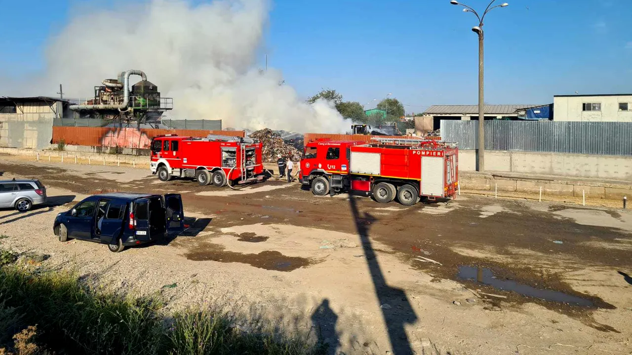 Incendiu de vegetaţie uriaş în Chitila, la marginea Bucureştiului. Locuitorii Capitalei, alertaţi prin sistemul Ro-Alert

