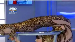Zlata, demonstraţie de flexibilitate: Vezi ce poate face cea mai elastică femeie din lume - VIDEO