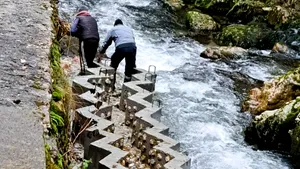 Scări pentru pești construite pe râul Bicaz pentru ca o specie protejată să se poată reproduce