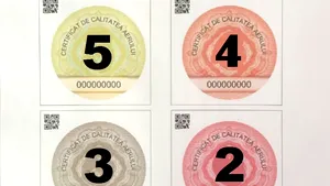 EXCLUSIV Cum arată certificatele de calitate a aerului ce ar putea deveni obligatorii din toamnă. PROIECTUL prin care se înlocuieşte timbrul de mediu