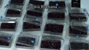 Peste 6.400 de rubine, confiscate de poliţişti la Zalău