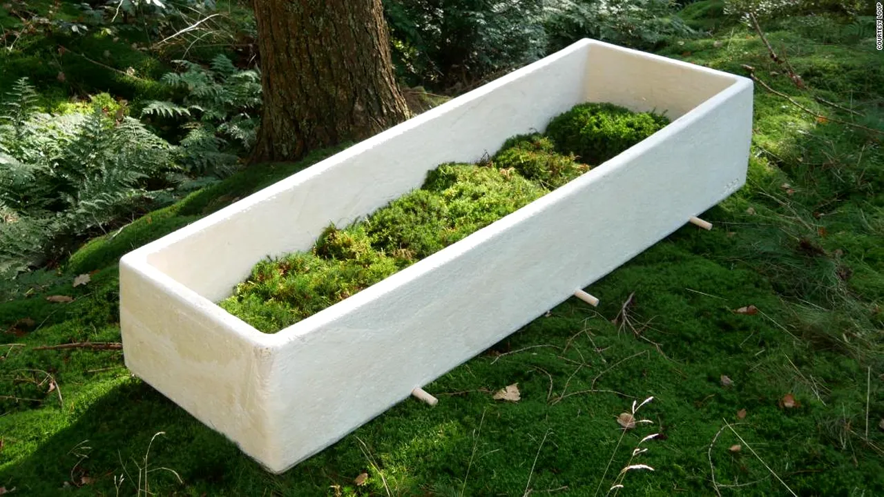 ”Sicriul” din ciuperci, o alternativă ecologică pentru înmormântări