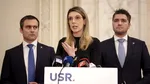 Ministrul Mediului: Vom duce oameni din birouri, pe teren. Numărul de directori Romsilva va fi redus