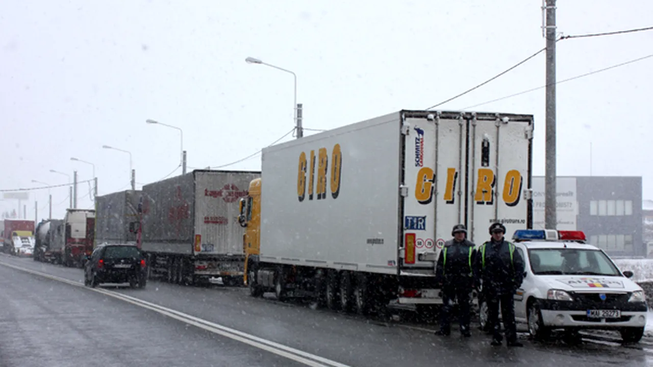 60 de tiruri oprite la Bechet au plecat spre Craiova însoţite de maşini de Poliţie