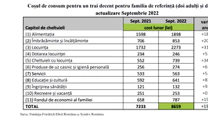 O familie cu doi copii are nevoie de venituri de aproape 8.700 de lei într-o lună pentru a duce un trai decent / Aproximativ 85% din contractele de muncă din România sunt plătite cu o valoare mai mică decât cea a coşului pentru un trai decent