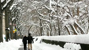 Exerciţiile fizice moderate îmbunătăţesc memoria persoanelor de peste 55 de ani