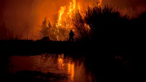 Ministrul de Interne al Portugaliei a demisionat în urma incendiilor devastatoare care au provocat moartea a peste 100 de persoane