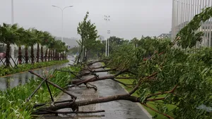 Sute de zboruri, anulate din cauza furtunilor, la Beijing