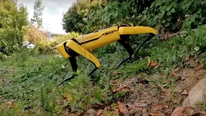A apărut câinele robot universal: Spot lucrează în spitale, în agricultură şi face muncă de birou
