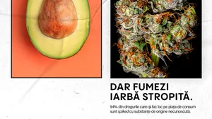 BEACH, PLEASE! şi MAI, prin Agenţia Naţională Antidrog, lansează cea mai vizibilă campanie antidrog 