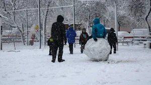 Bătaie generală cu bulgări de zăpadă într-un parc din New York