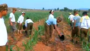 Canibalism în Coreea de Nord: Copii mâncaţi de propriii părinţi din cauza foametei - VIDEO
