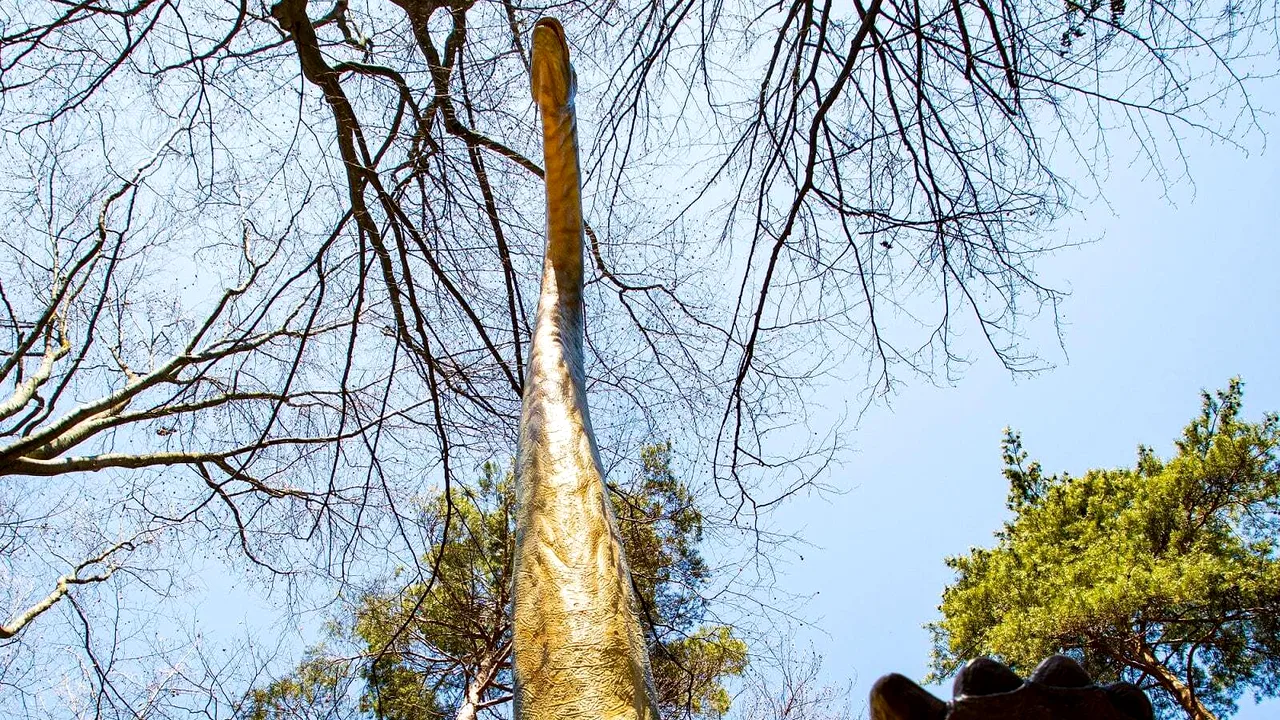 Cel mai înalt dinozaur din sud-estul Europei se află la Râşnov. Este cât două girafe suprapuse