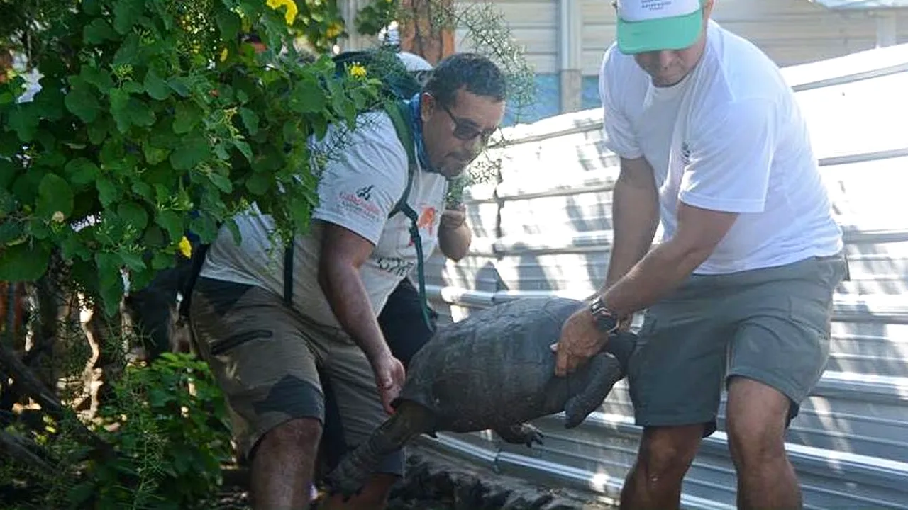 Un animal declarat dispărut a reapărut după mai mult de 100 de ani | FOTO