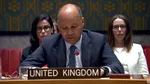Reprezentantul Marii Britanii la ONU: Suntem alături de Ucraina, România și toți aliații noștri din NATO