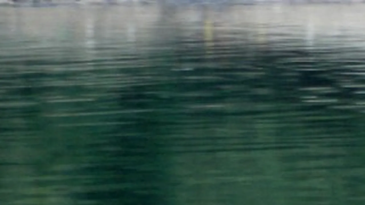 Danube Oil Spill In SW Romanian Waters