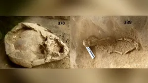 Descoperire bizară. Doi bebeluşi, înmormântaţi acum 2.100 de ani, purtau „căşti” / Materialul din care sunt realizate i-a surprins pe arheologi
