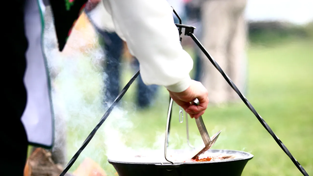 Legea pentru înfiinţarea Punctelor Gastronomice Locale, promulgată de Iohannis