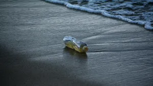 Băncile de dezvoltare vor investi 3 miliarde de euro în lupta cu plasticul din oceane