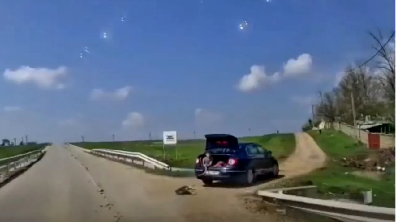 Cruzime fără margini, într-o localitate din Teleorman: câine târât de o maşină, ţinut de un copil