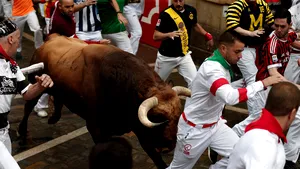 Şase persoane, rănite la Festivalul San Fermin de la Pamplona. Din 7 iulie, zeci de oameni au ajuns la spital, cinci dintre ei împunşi de tauri