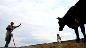 Romii din Apaţa vor primi terenuri în arendă