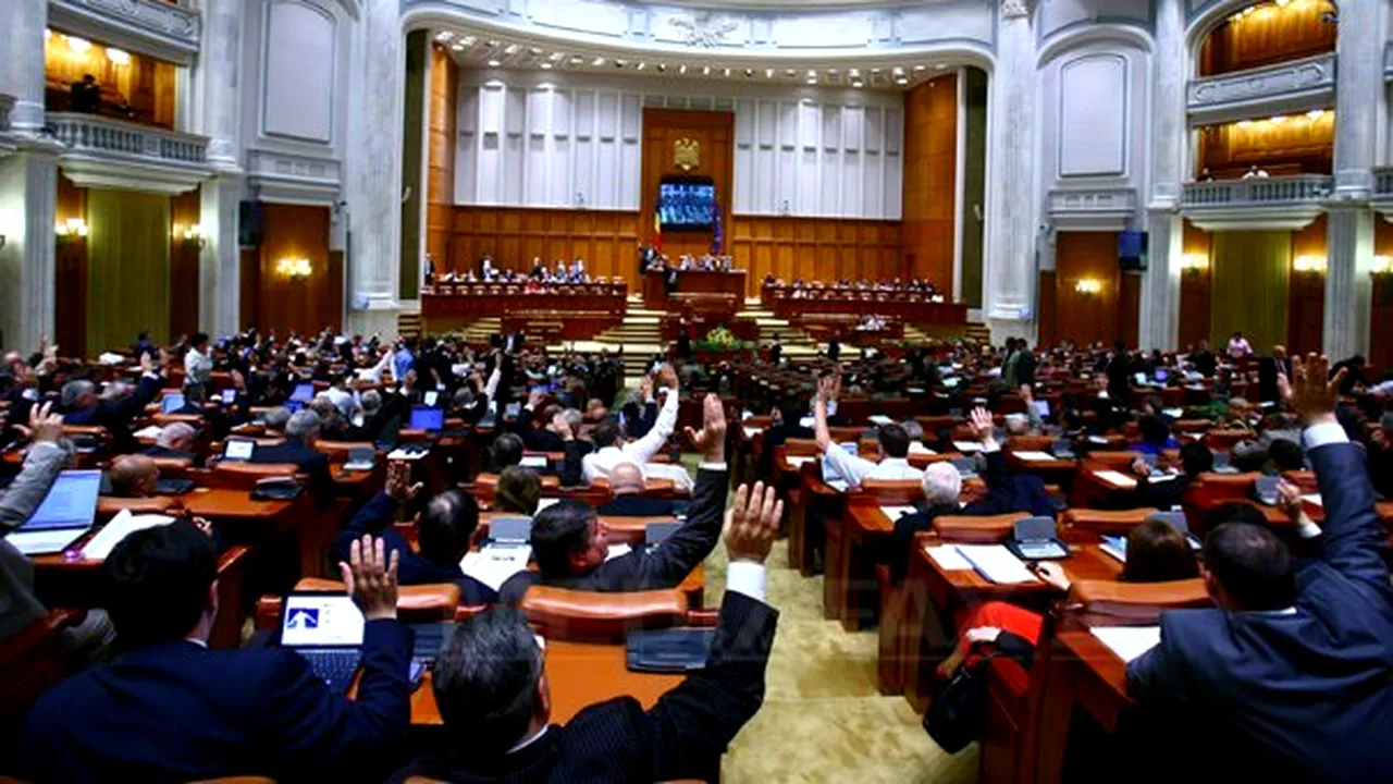 Demeter Andras Istvan a fost validat de plenul Parlamentului pentru şefia SRR