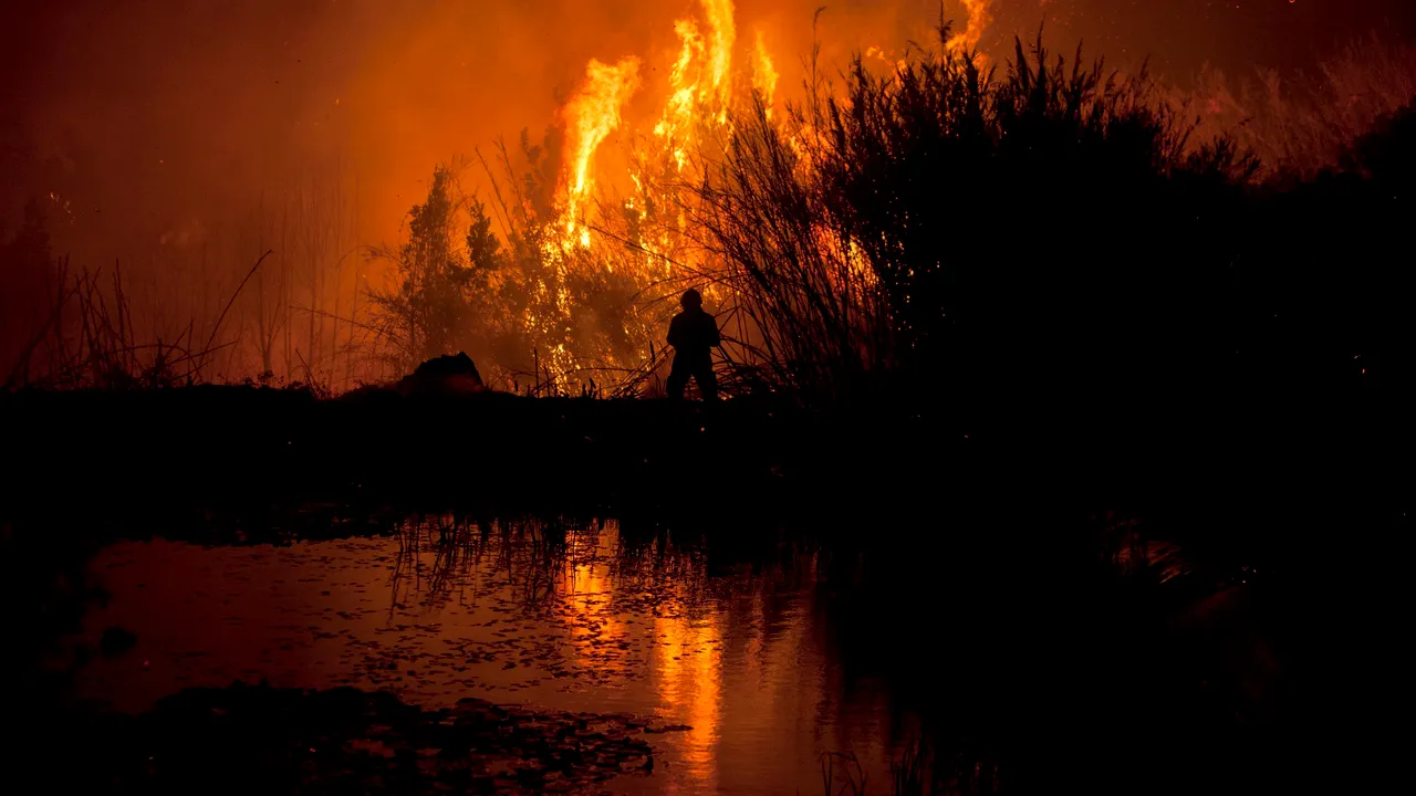 Ministrul de Interne al Portugaliei a demisionat în urma incendiilor devastatoare care au provocat moartea a peste 100 de persoane