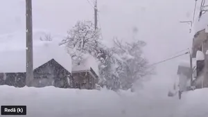 VIDEO Situaţie rară în Japonia: Comunităţi izolate şi mii de gospodării, fără curent din cauza căderilor masive de zăpadă. Nămeţii au atins 2 metri