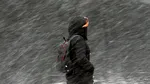 Cod galben de viscol în estul ţării: Vântul va sufla cu 65 km/h, vizibilitate sub 100 de metri