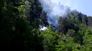 Incendiul din zona Cetăţii Poenari, declarat lichidat