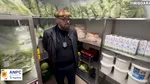 Zeci de sancțiuni la Timișoara în urma unor controale ale comisarilor de la Protecția Consumatorilor