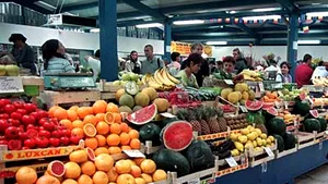 Bază de date pentru controlul comercianţilor de legume şi fructe proaspete
