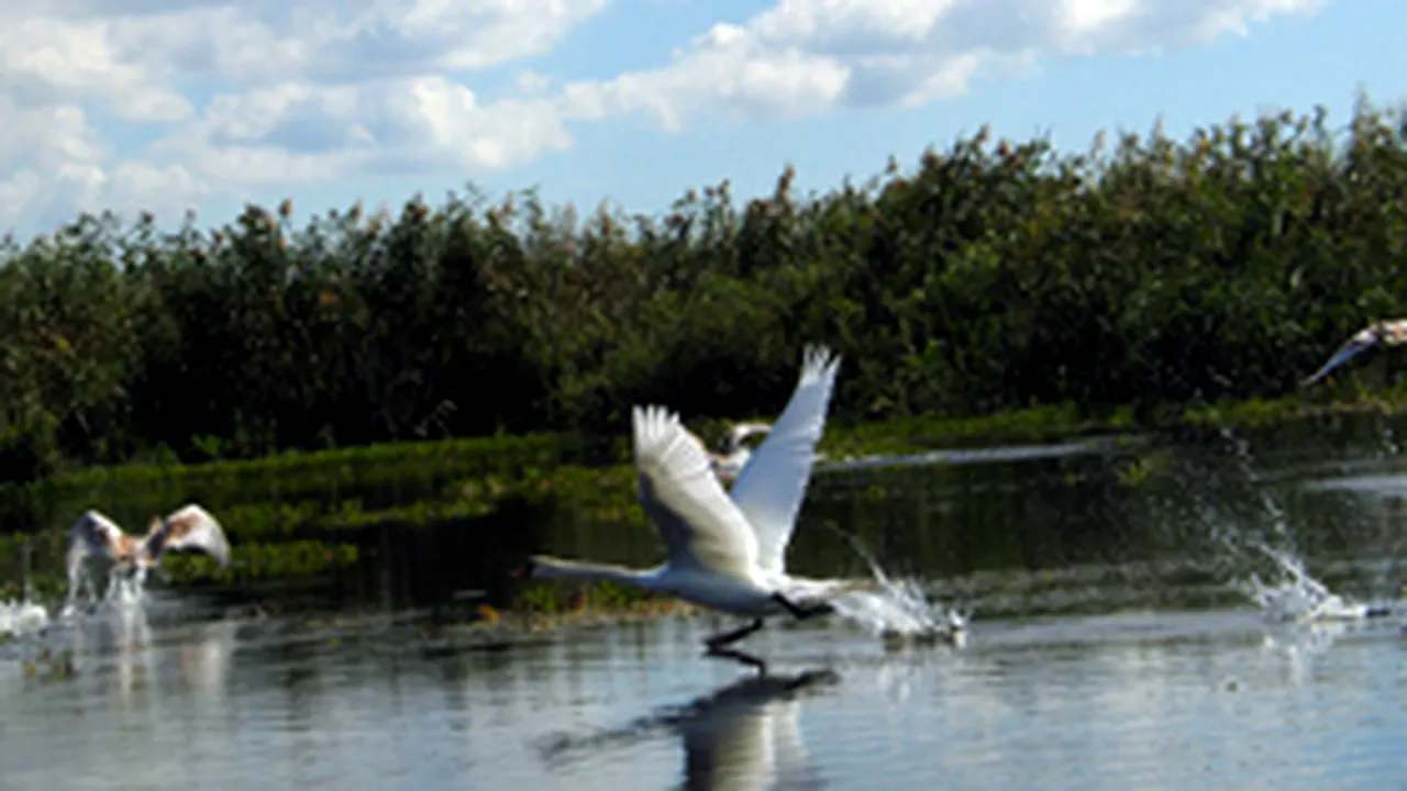 Romania Ex-Environ Min Wants New Law To Regulate Danube Delta Bio Reserve
