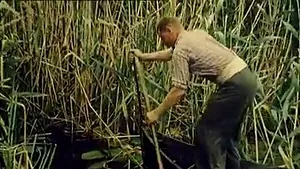 IMAGINI RARE din Delta Dunării, într-un reportaj britanic din 1962: Delta, 