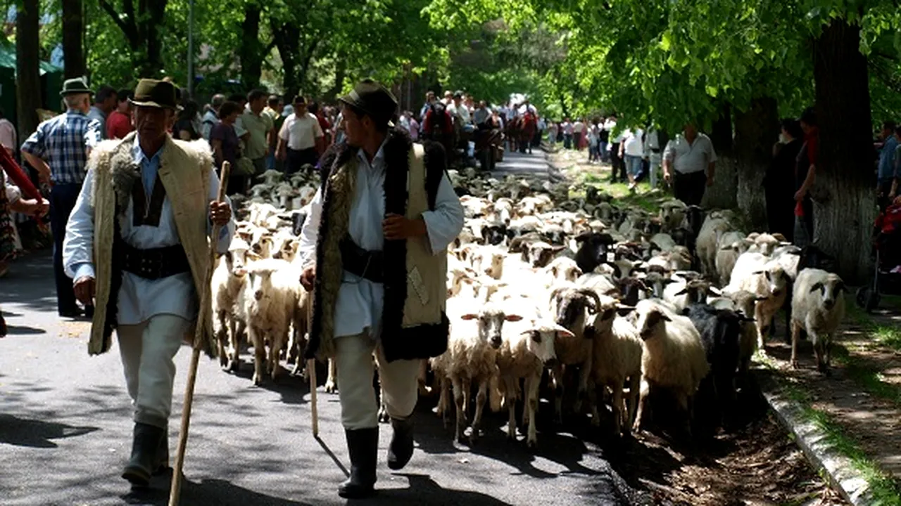 Peste zece mii de persoane la Hora Bucovinei. Pe dealul unde s-a scris cu oi s-a montat un tricolor