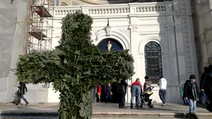 Iaşi: Crucea pentru slujba de Bobotează va fi din ramuri de brad. 10 butoaie, pregătite pentru slujbă GALERIE FOTO