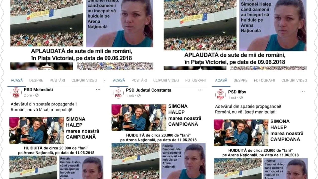Organizaţii PSD, despre Simona Halep: Huiduită pe Arena Naţională, aplaudată la mitingul PSD