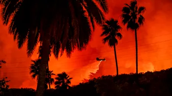 EXTERNE Plumb și azbest în locuințe, la un an de la incendiile devastatoare din Los Angeles