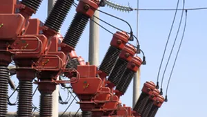 Asociaţia Salariaţilor Electrica Serv vrea să cumpere compania