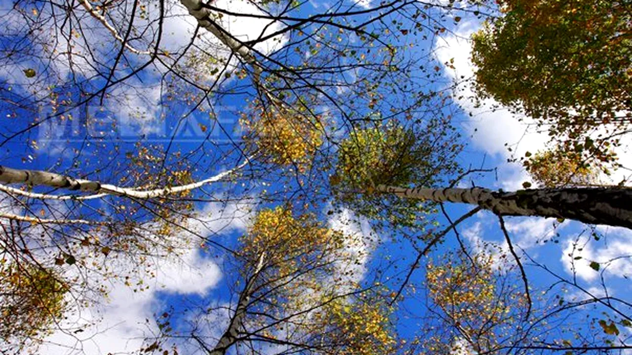 PROGNOZA METEO: Vreme de vară în septembrie. Ce temperaturi vor fi în următoarele zile