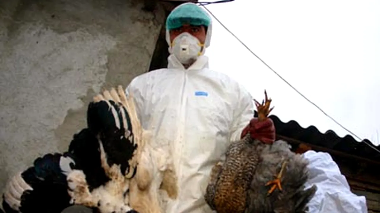 Romania Confirms Highly Pathogenic Bird Flu Virus - EC