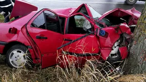 Un şofer a fugit de la locul accidentului, după ce s-a izbit violent cu maşina de un copac - FOTO