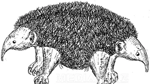 Un bestiar CIA ironizează clişeele folosite de agenţi