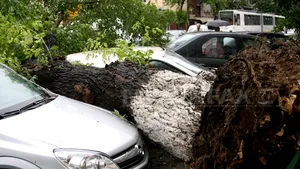 FURTUNĂ în Argeş şi Dâmboviţa: Pasaj inundat, maşină avariată şi mai mulţi copaci doborâţi