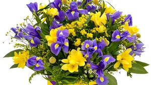 (P) Limbajul iubirii sau cum florile pot fi un izvor de emoţii în relaţiile noastre